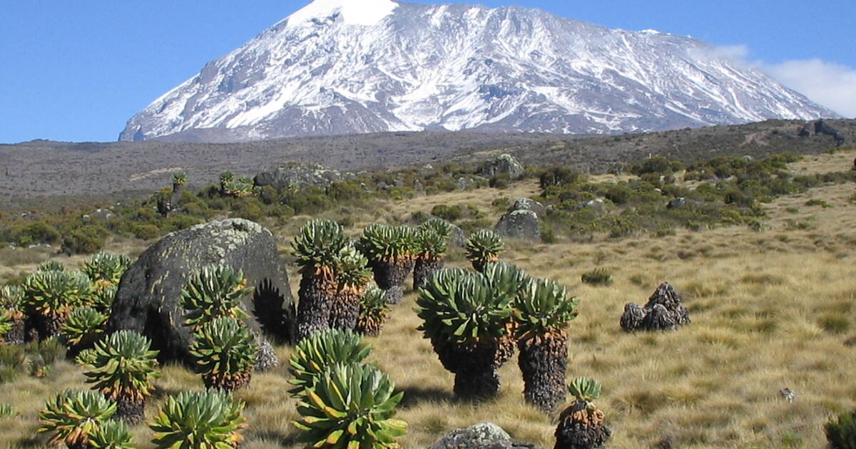 Mount Kilimanjaro - Zanzibar Destination