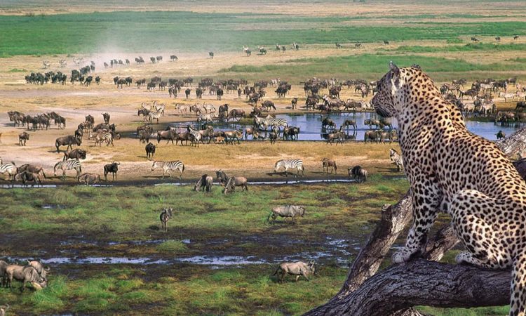 Ngorongoro Crater - Zanzibar Destination