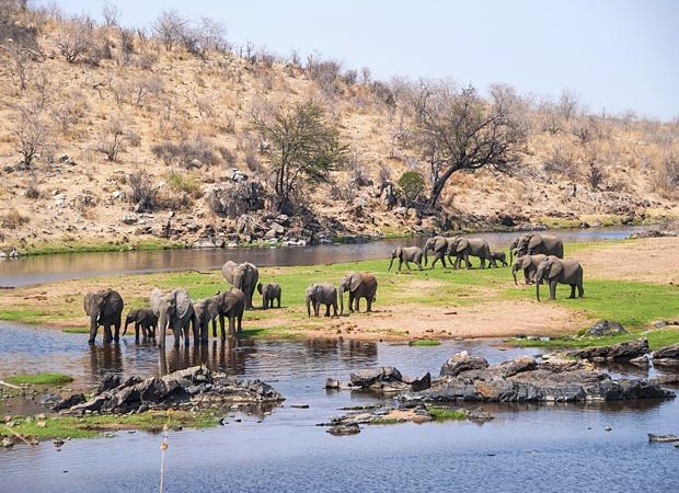 Ruaha National Park - Zanzibar Destination