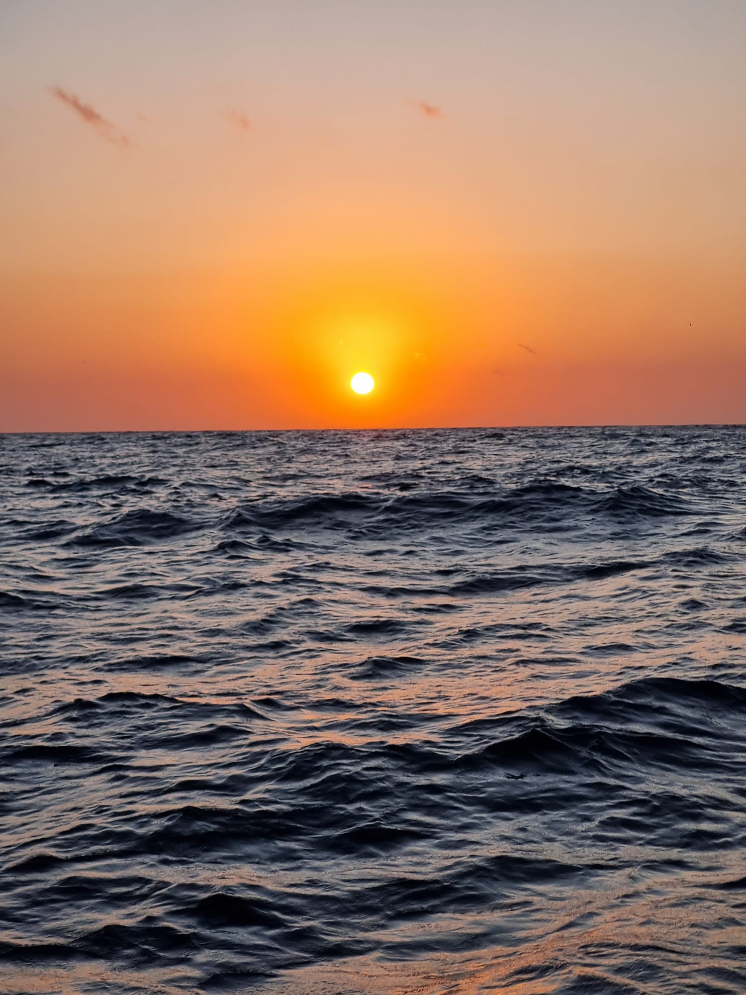 Sunset Dhow Cruise - Zanzibar Tour